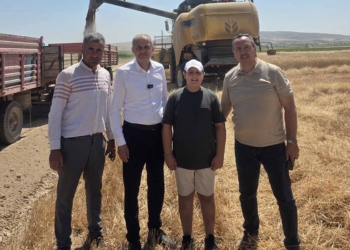 Hasan Yel, Altınekin’de hasat mesaisinde çiftçilerle buluştu
