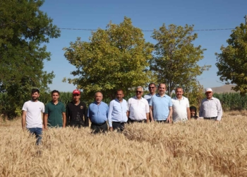 Altay hasat sevincini çiftçilerle paylaştı
