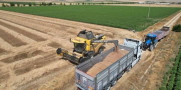 Fotoğraf: İbrahim Yetkin/