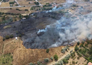 Konya’da uzmanlardan anız yangınlarına karşı dikkat çağrısı