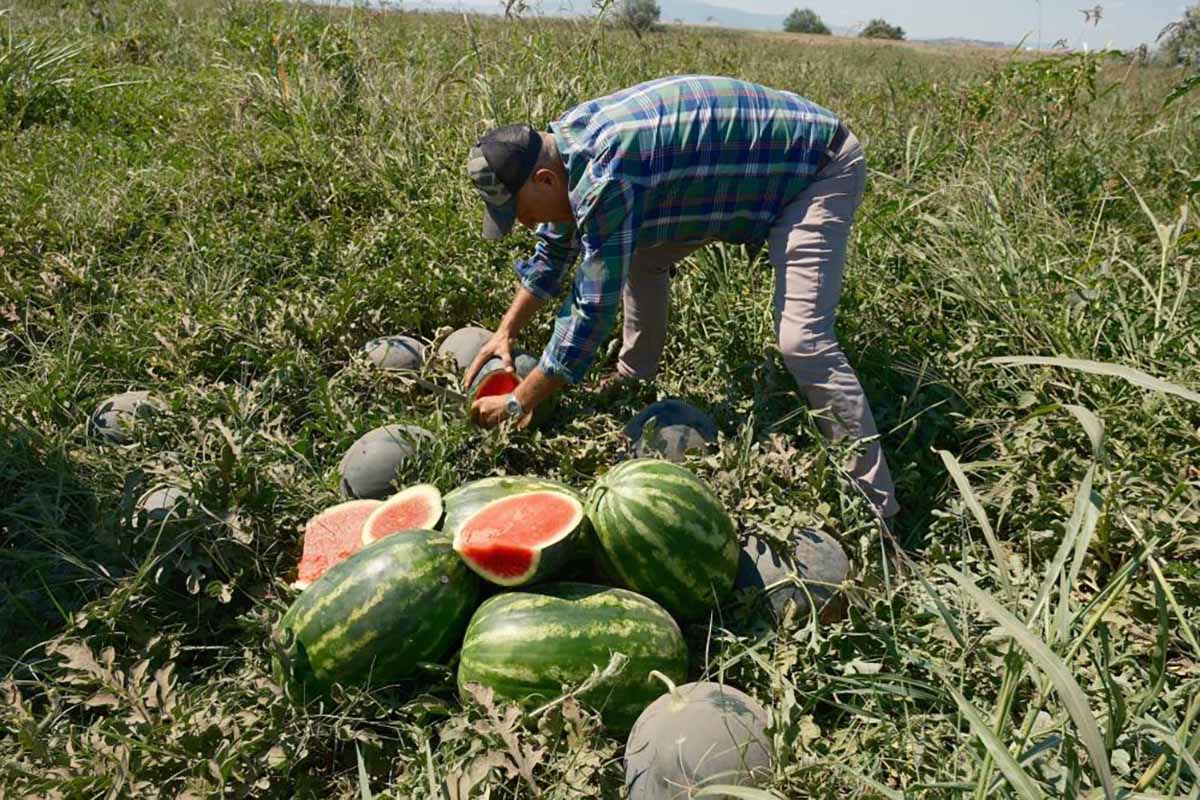 Fotoğraf: İHA