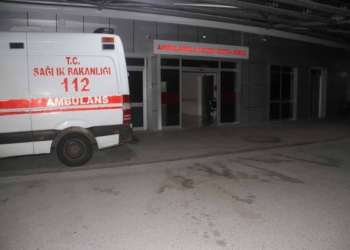 Beyşehir’de yedikleri keçi peyniri sonrası anne ve oğlu hastanelik oldu