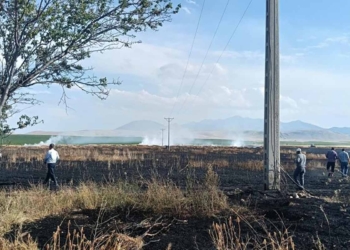 Karapınar’da buğday tarlasında yangın: 20 dekarlık alan zarar gördü
