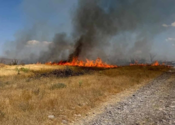 Kulu’da çıkan anız yangınında hektarlarca alan zarar gördü