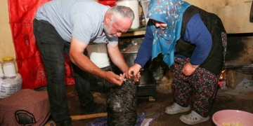 Fotoğraf: Meram Belediyesi