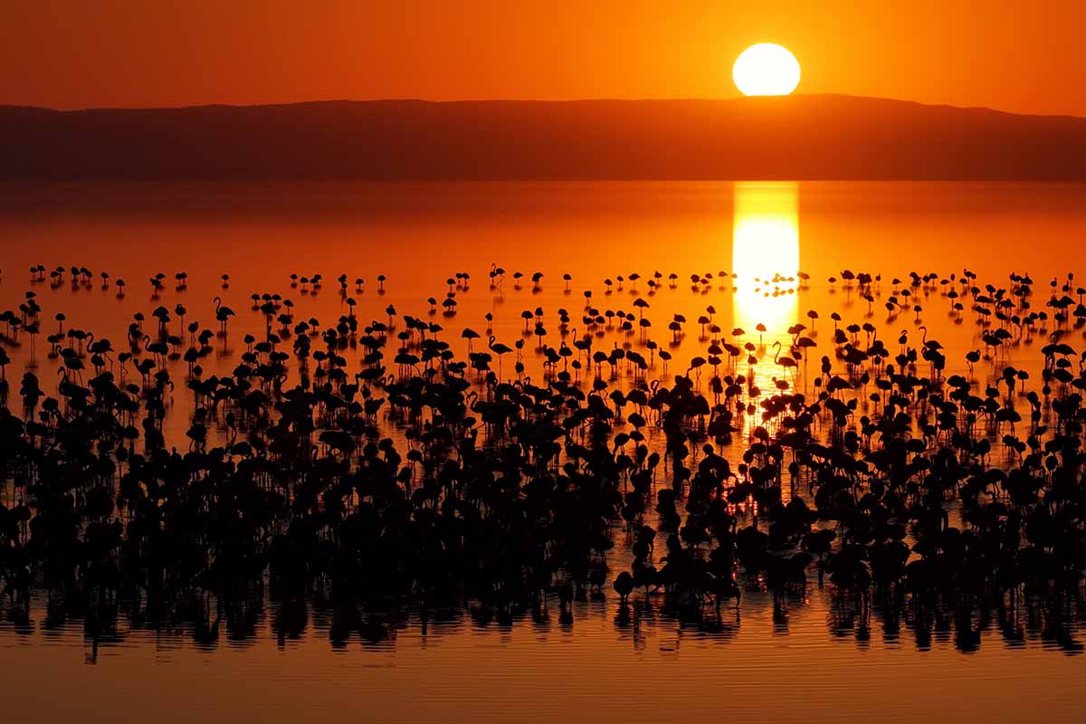 Fotoğraf: Erkan ALTUNTAŞ/DHA