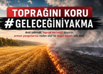 Konya Valiliği’nden anız yakma uyarısı: “Geleceğimizi yakmayın”