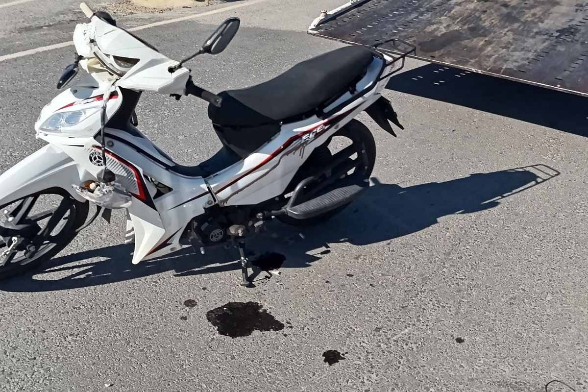 (Fotoğraf: Ali Rıza Önses / İhlas Haber Ajansı / İHA)