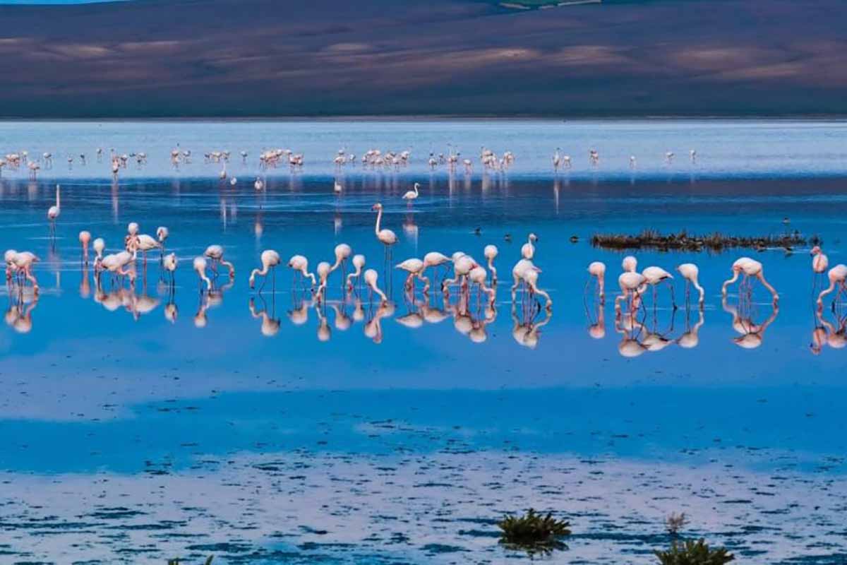 Fotoğraf: Oğuzhan Erdoğan/ İHA