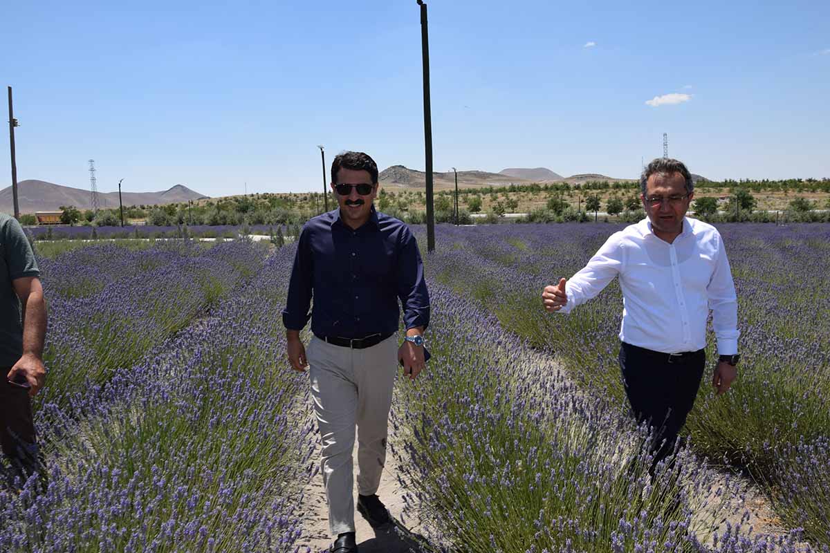 Fotoğraf: Karapınar Kaymakamlığı