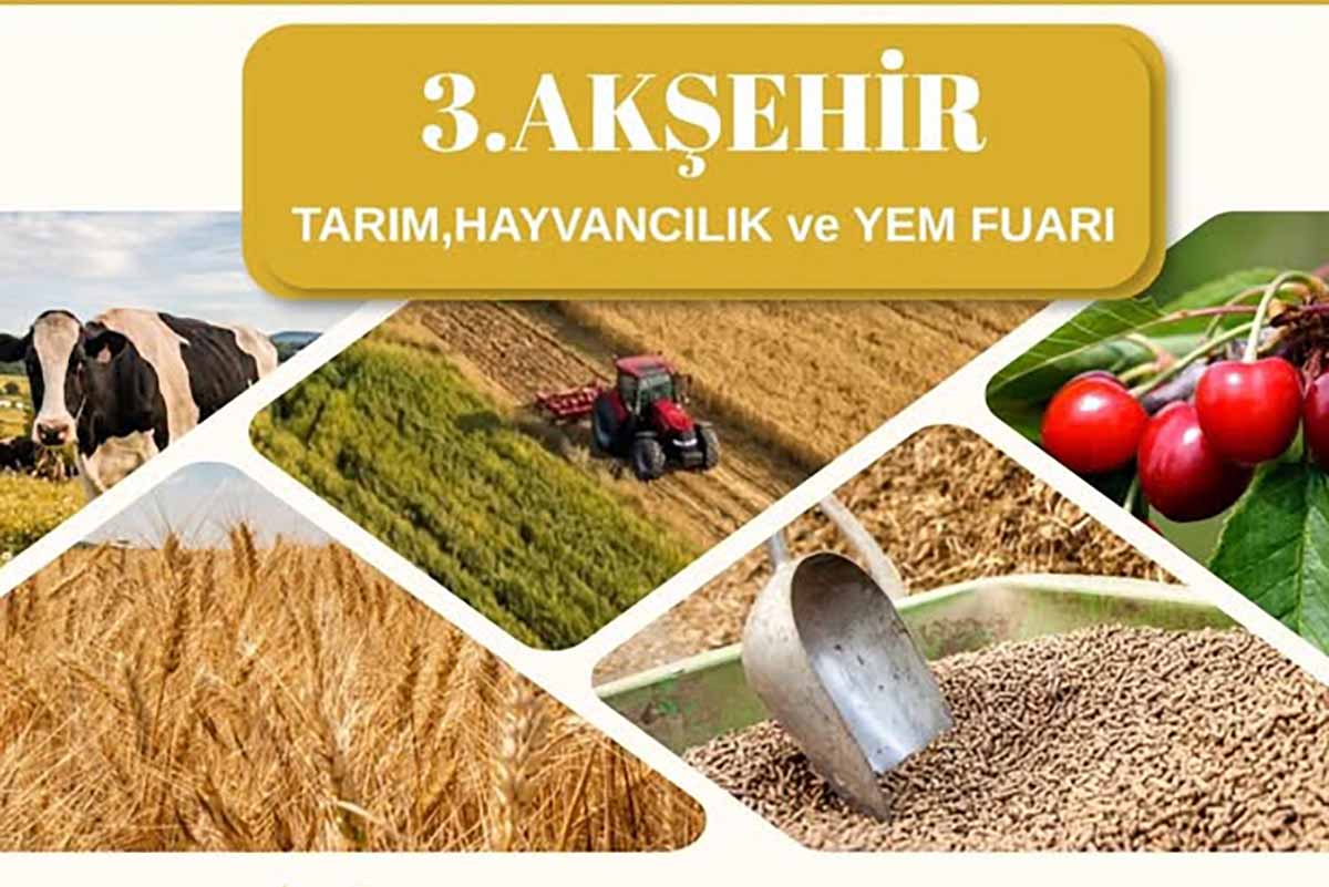 Fotoğraf: Akşehir Belediyesi