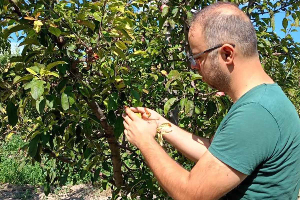 Fotoğraf: Ali Rıza Önses/ İHA