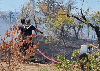 Bozkır’da anız yangını ekipleri alarma geçirdi