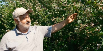 Fotoğraf :Büyükşehir Belediyesi