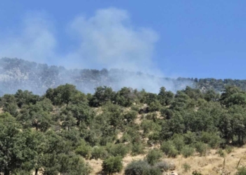 Seydişehir’de ormanlık alanda yangın çıktı