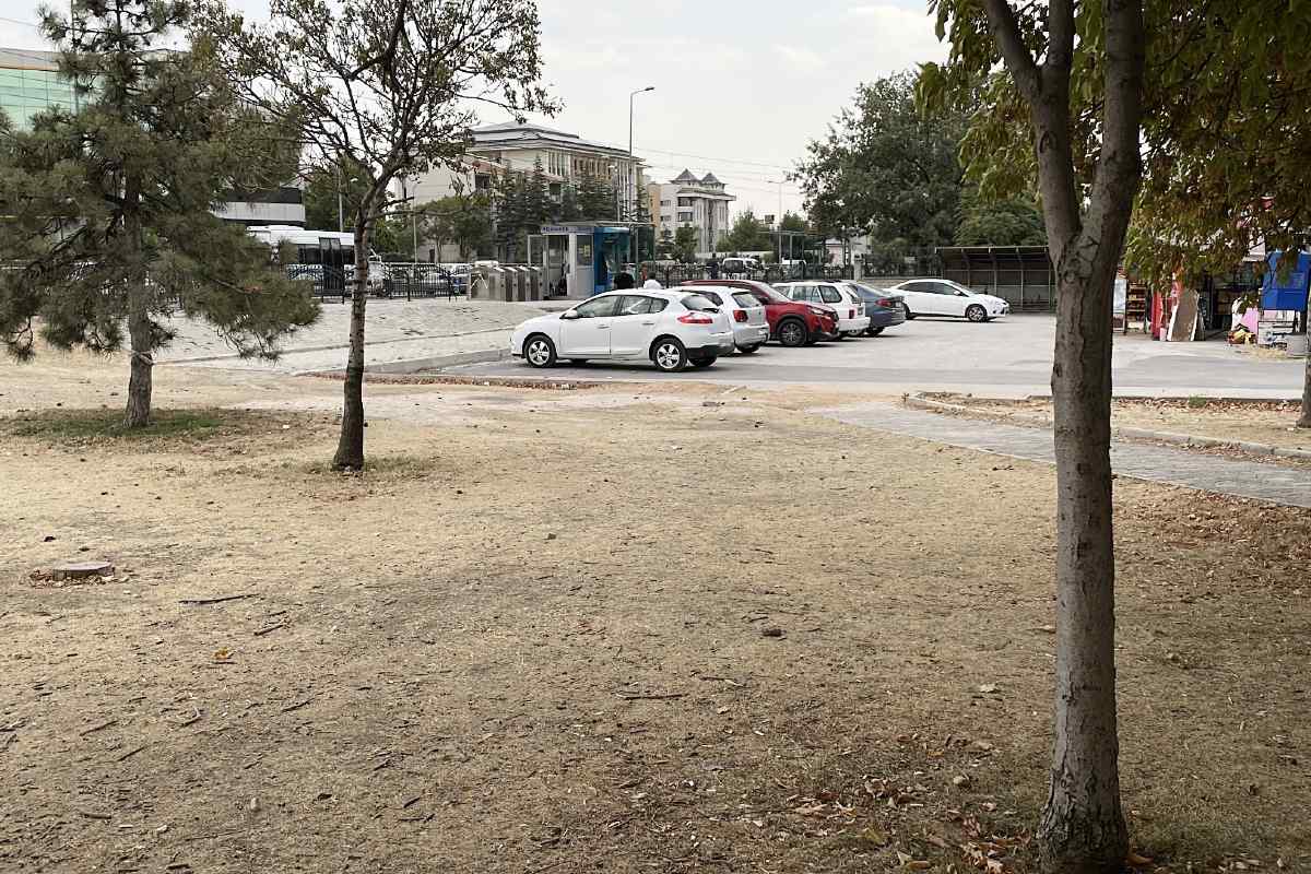 (Fotoğraf: İbrahim Yetkin / İhlas Haber Ajansı / İHA)