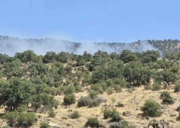 Seydişehir’de orman yangını 8 saatlik müdahaleyle kontrol altına alındı