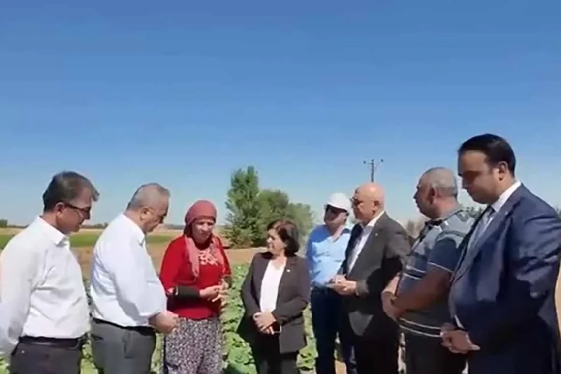 Fotoğraf: YENİ Parti