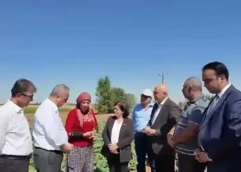 Akşehir’de çiftçi isyan etti: “Geçen yıl 45, bu yıl 91 lira!”