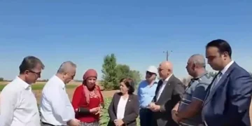 Akşehir’de çiftçi isyan etti: “Geçen yıl 45, bu yıl 91 lira!”