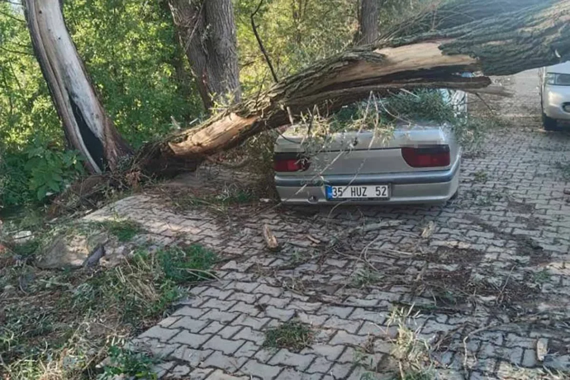 Fotoğraf: Ali Rıza Önses/ İHA