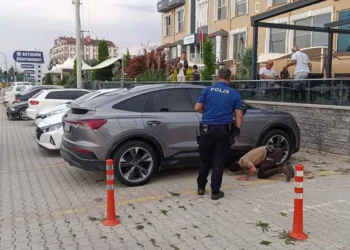 Beyşehir’de minik kedi için polisten kurtarma operasyonu