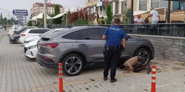 Beyşehir’de minik kedi için polisten kurtarma operasyonu