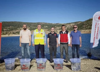 Bozkır’daki baraj ve göletlere 122 bin yavru balık bırakıldı