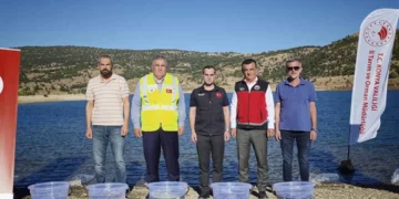 Bozkır’daki baraj ve göletlere 122 bin yavru balık bırakıldı