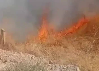 Ereğli’de çıkan iki yangın büyümeden söndürüldü