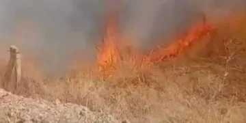 Ereğli’de çıkan iki yangın büyümeden söndürüldü