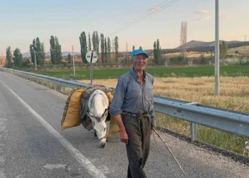 Güneysınır’da 74 yaşındaki çiftçinin teknolojiye karşı geleneksel tarım mesaisi
