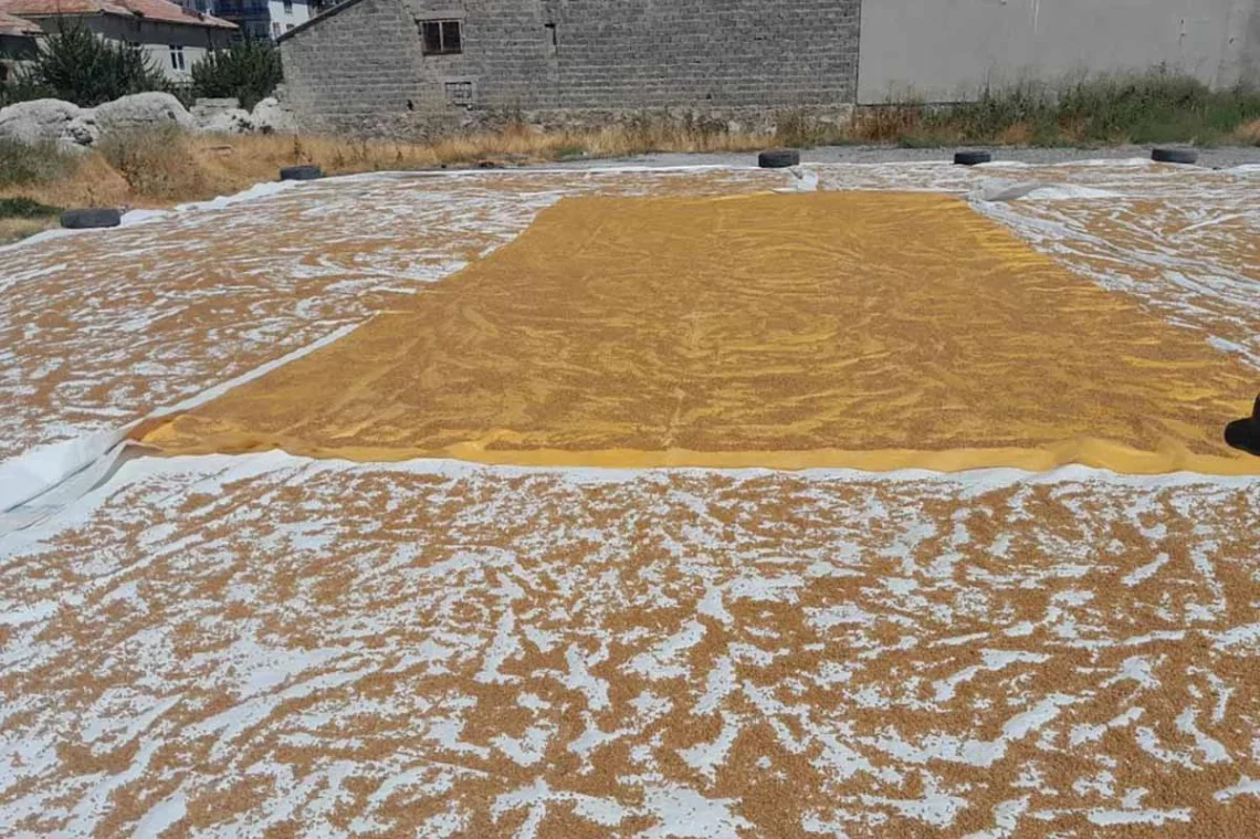 Fotoğraf: İHA