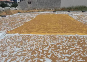 Karapınar’da kışlık bulgur hazırlığı başladı