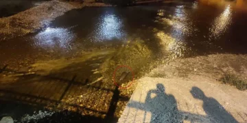 Bozkır’da Çarşamba Çayı’nın sürpriz misafiri: Su samuru görüntülendi