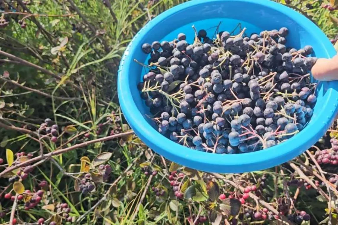 Fotoğraf: İHA