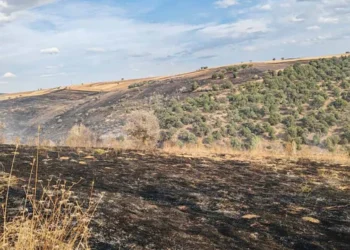 Konya’da orman yangını: Ekipler alevleri kontrol altına aldı