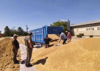 TMO, Konya’da 92 noktada 2 milyon tona yakın hububat aldı