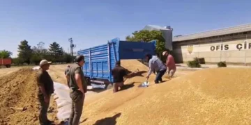 TMO, Konya’da 92 noktada 2 milyon tona yakın hububat aldı