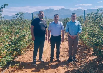 Akpınar böğürtlen üreticileriyle bir araya geldi