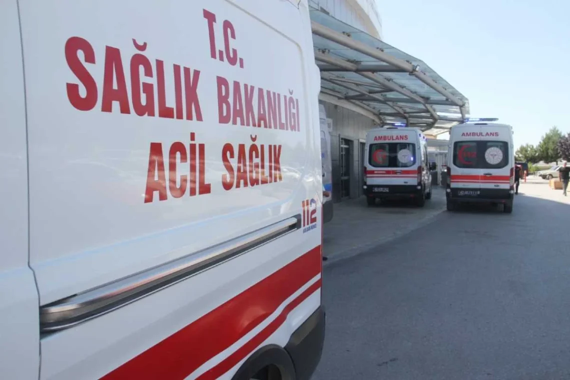(Fotoğraf: Ali Rıza Önses / İhlas Haber Ajansı / İHA)