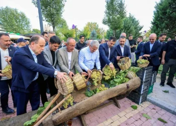 Meram Bağı’nda beşinci buluşma: Üzümler toplandı, pekmez kazanları kaynadı