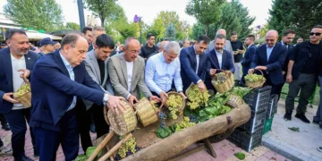 Meram Bağı’nda beşinci buluşma: Üzümler toplandı, pekmez kazanları kaynadı