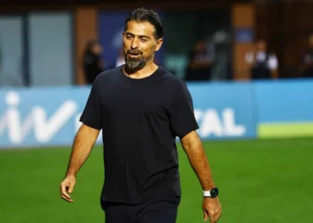 Palut: Adil Demirbağ emeklerinin karşılığını aldı