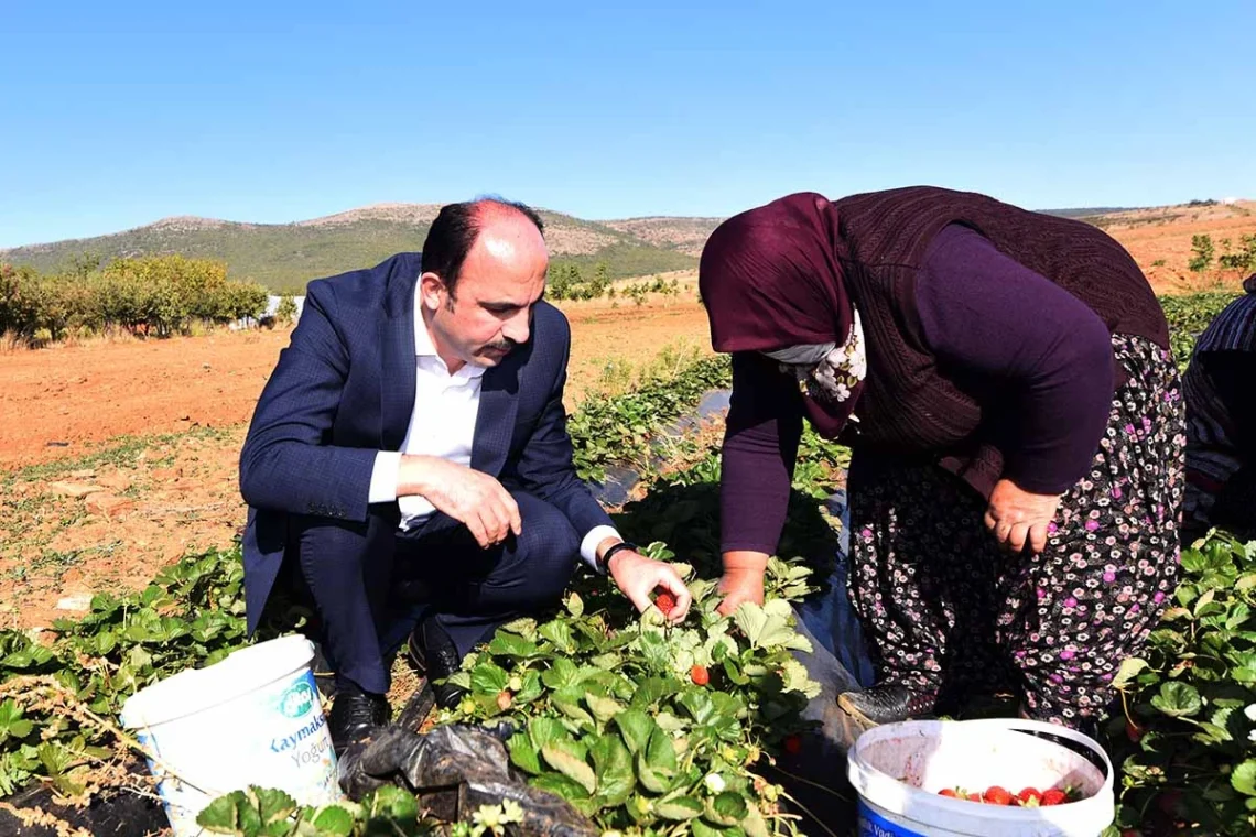 Fotoğraf: Büyükşehir Belediyesi