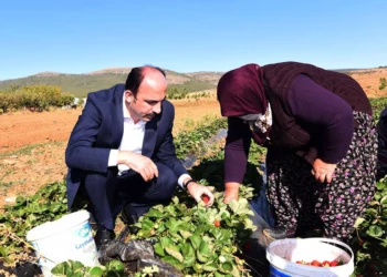Altay’dan Dünya Kadın Çiftçiler Günü mesajı