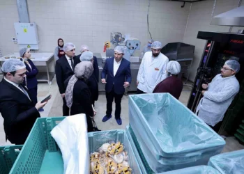 Karatay’da tam buğday ve ekşi mayalı ekmek üretimi değerlendirildi