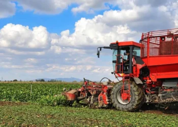 Konya Şeker, çiftçilere 890 milyon TL avans ödeyecek