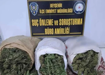 Konya’da esrar ve bonzai operasyonu: 4 tutuklama