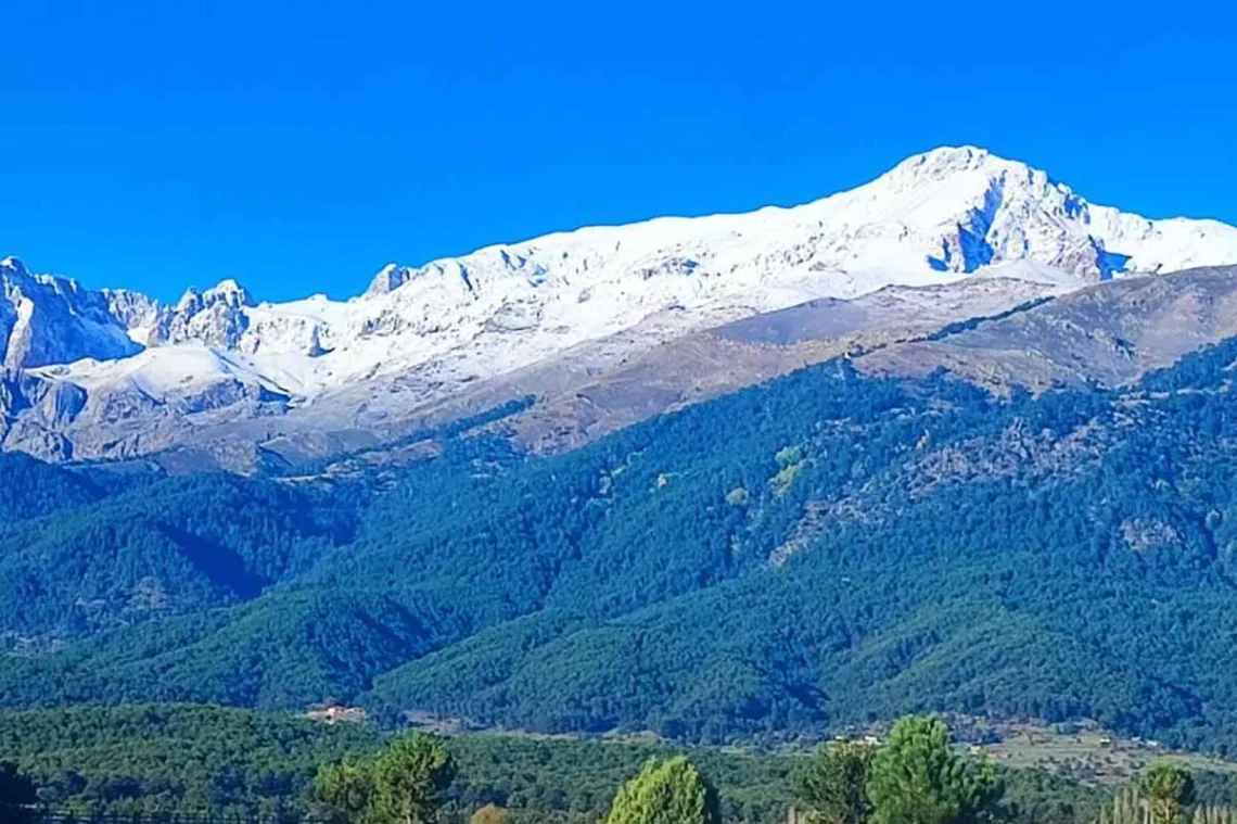 Fotoğraf: Ali Rıza Önses/ İHA